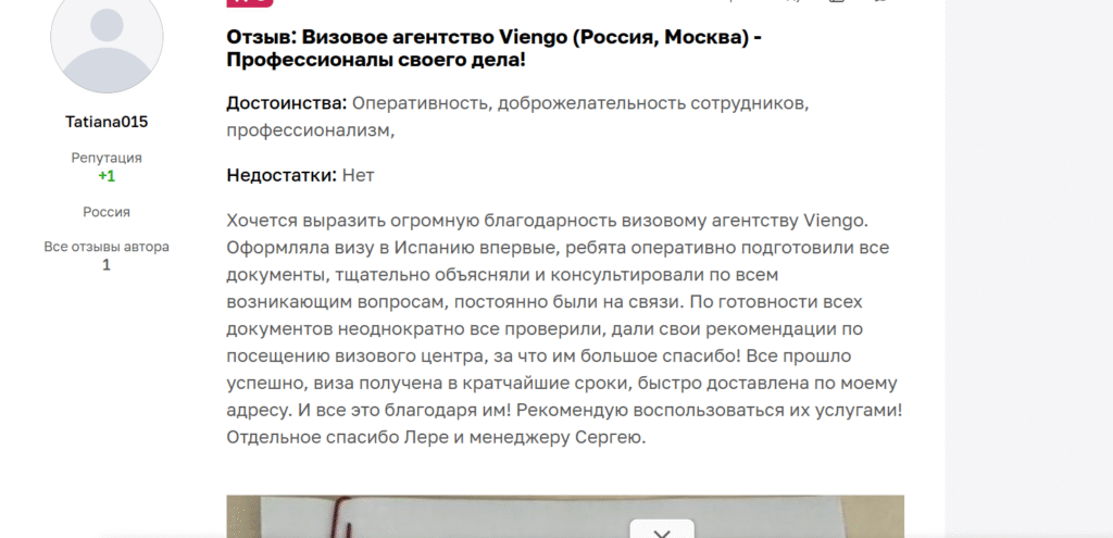 Viengo отзывы